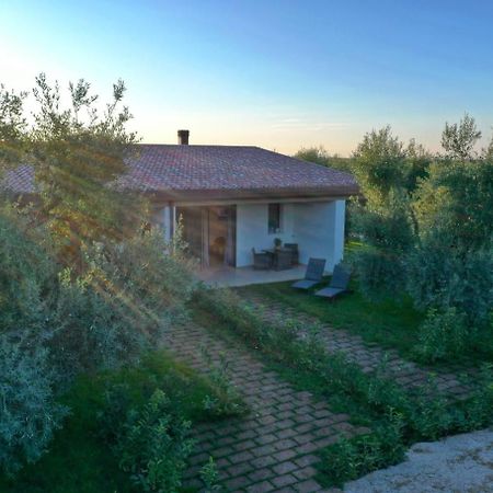 I Secolari Bed & Breakfast Sannicandro di Bari Екстериор снимка