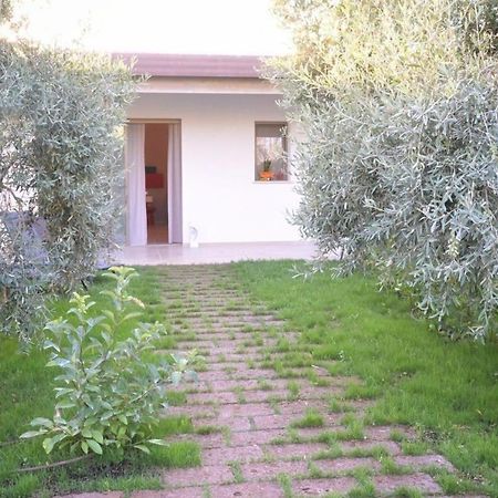 I Secolari Bed & Breakfast Sannicandro di Bari Екстериор снимка