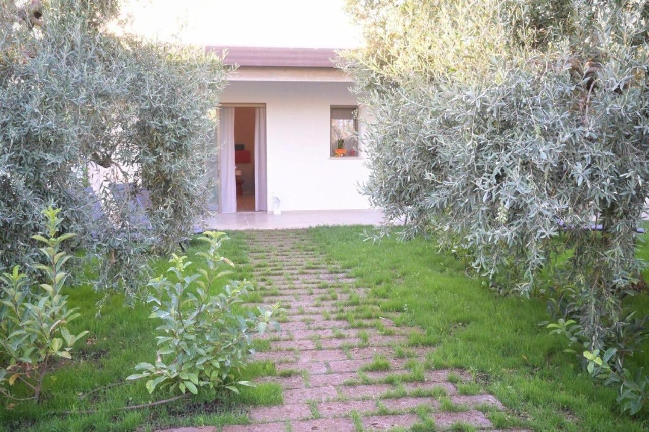 I Secolari Bed & Breakfast Sannicandro di Bari Екстериор снимка